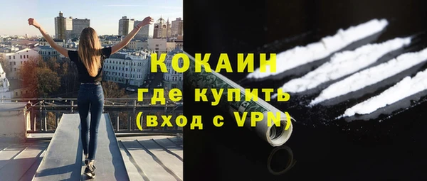 шишки Лихославль