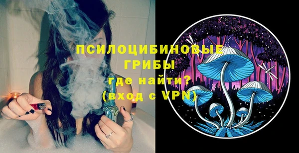 дурь Лиски